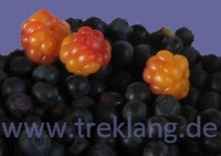 Beeren_logo.jpg